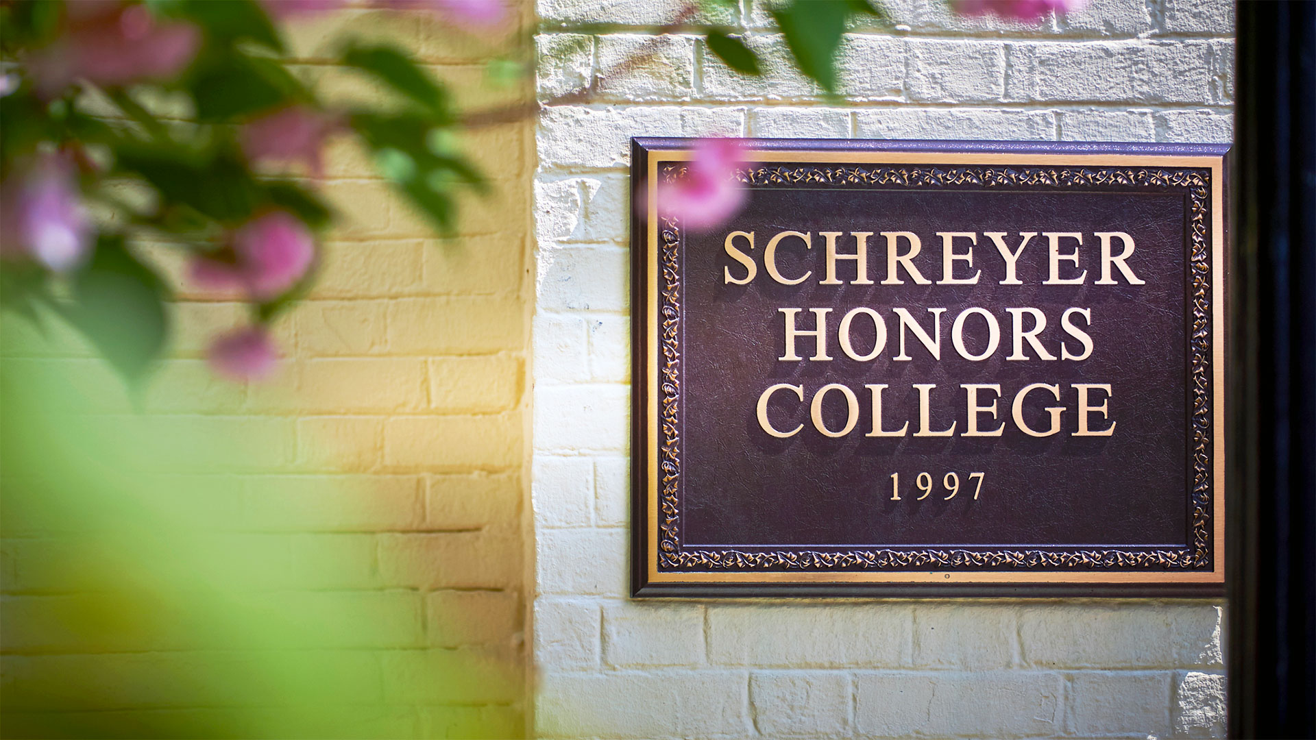 schreyer honors college essay questions